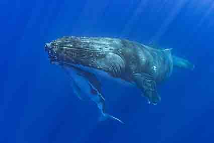 cda3cfc1903611615e1c2f10489806be_1 전영환 DSC07220k.jpg